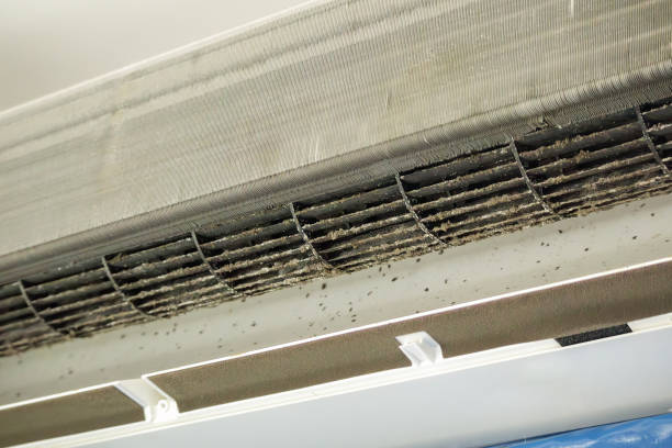 Best Home Air Vent Cleaning  in Grandview Heights, OH
